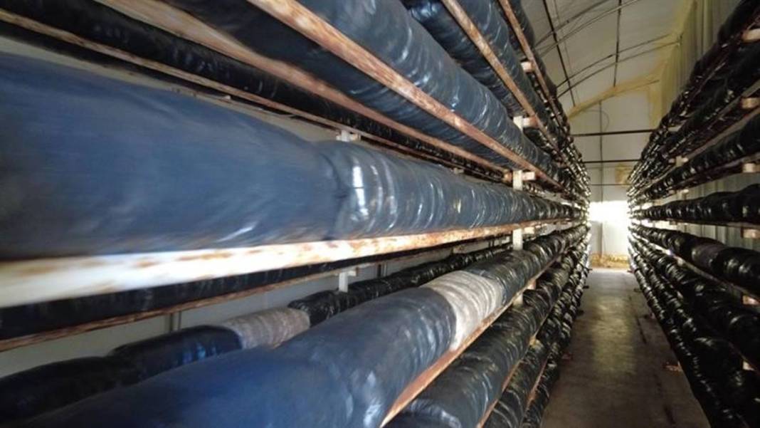 Köyünde sıfırdan sistem kurdu: Yılda 1 milyon 400 bin TL kazanıyor! Para oluk oluk akıyor, yatırım dediğin böyle olur 8